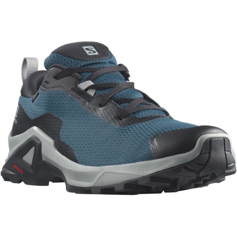 Tênis De Caminhada Salomon X Reveal 2 GTX Masculino Azuis | PT F24793